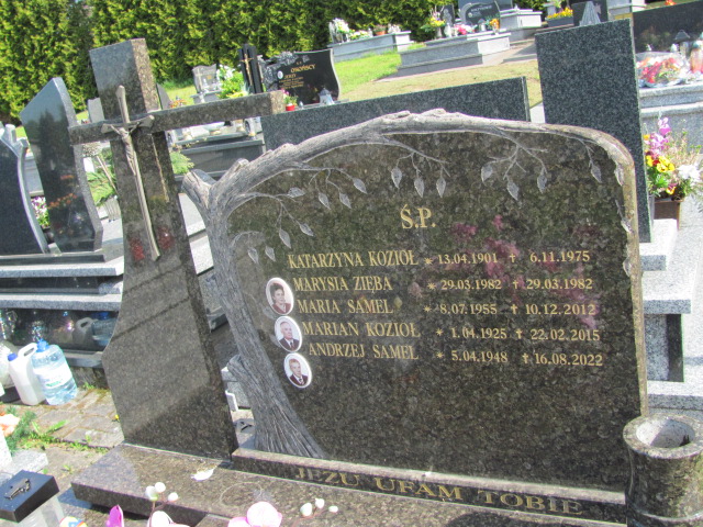 Marian Kozioł 1925 Tarnów Gmina - Grobonet - Wyszukiwarka osób pochowanych