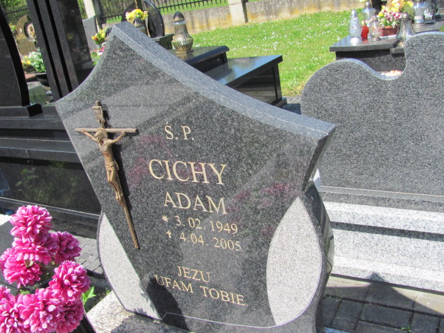  Cichy 1949 Tarnów Gmina - Grobonet - Wyszukiwarka osób pochowanych