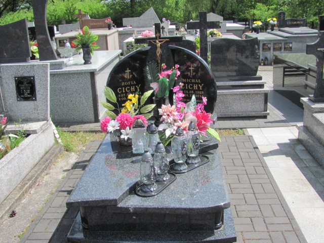 Grób Michał Cichy